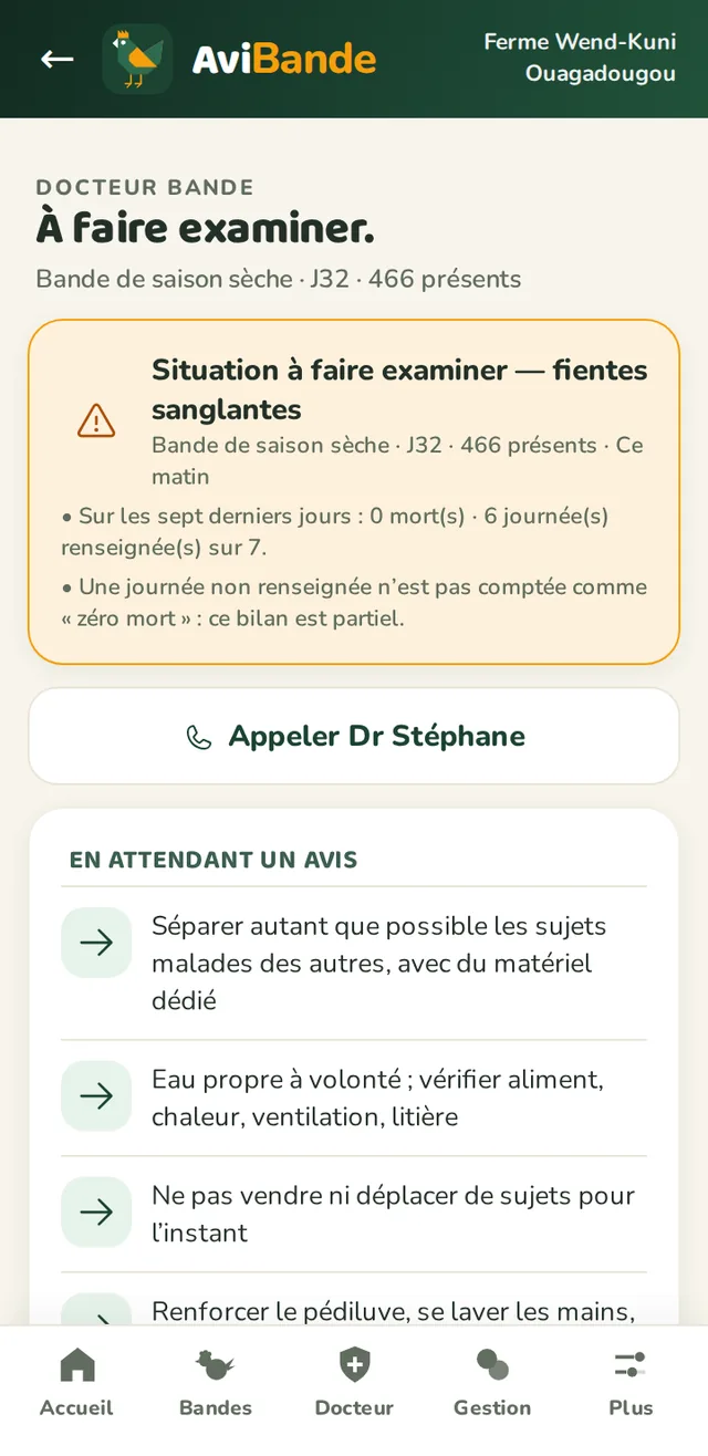 Verdict de Docteur Bande : suspicion, niveau de gravité et gestes à faire maintenant