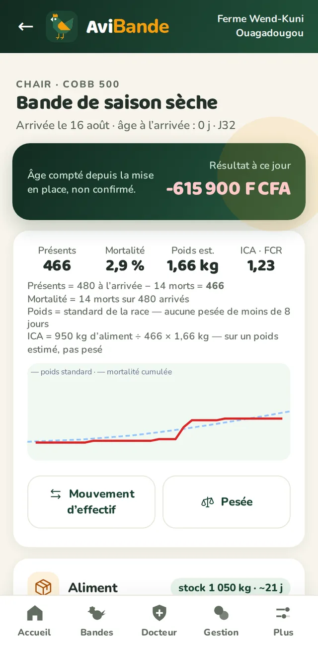 Fiche d’une bande : présents, mortalité, poids estimé, indice de consommation, courbe face au standard et résultat à ce jour