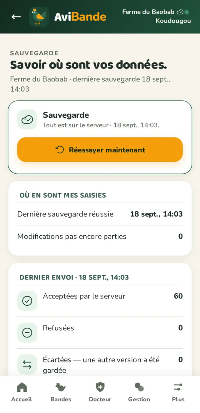 État de synchronisation : compte connecté et à jour
