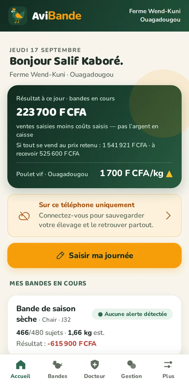 Écran d'accueil d'AviBande : le résultat à ce jour, les bandes en cours et ce qui reste à faire aujourd'hui